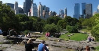 Central Park Grand Tour