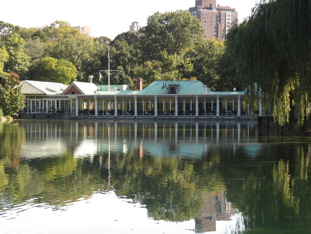 Central Park Reflections: CP01 []