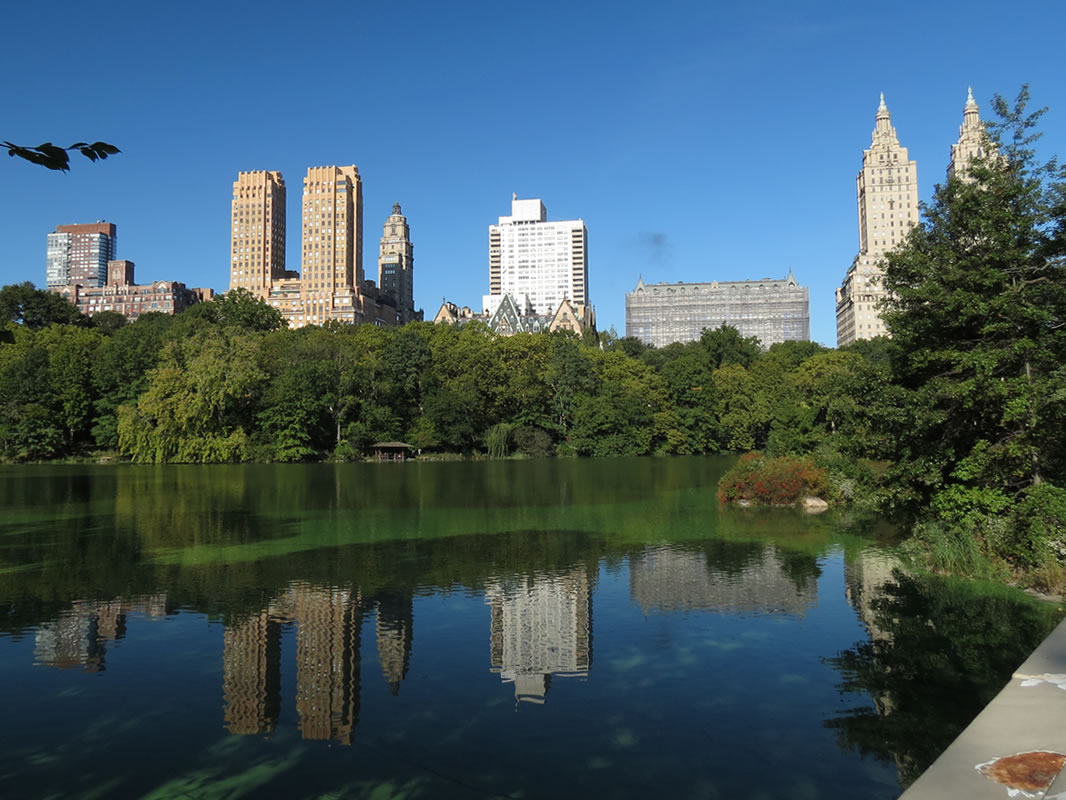 Central Park Reflections: CP02 []