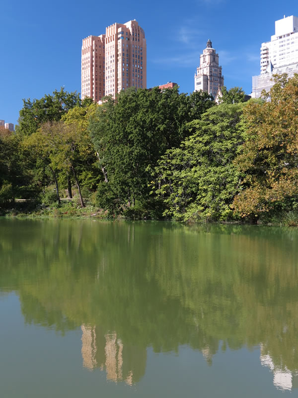 Frederick Law Olmsted Archives » NewYorkitecture