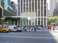 [Fifth Avenue Swath] Q00_4784 [7/3/2012 11:30:50 AM]