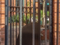 Peeking into the garden courtyard.