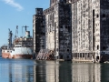 Port of New York Authority Grain Terminal