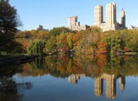 Central Park Reflections