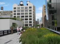 High Line Park